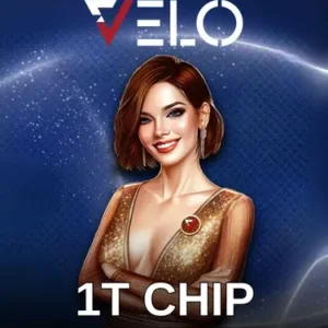 1T Vilo Chip