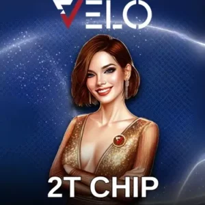 2T Vilo Chip