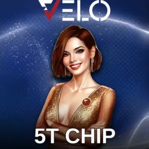 5T Vilo Chip