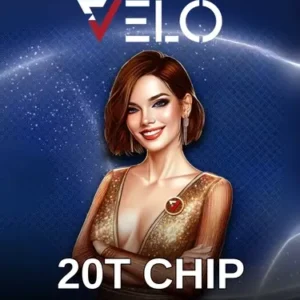 20T Vilo Chip